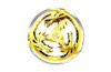 Dragon Rims Gold Set - Monster